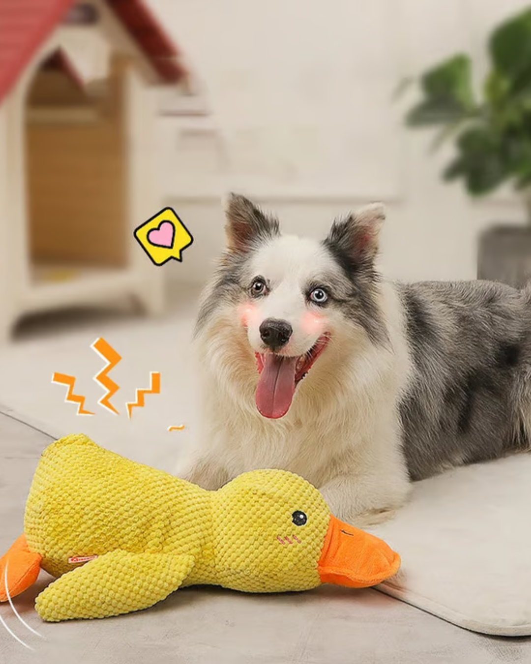 LekAnkan™ - Evig lek för glada tassar